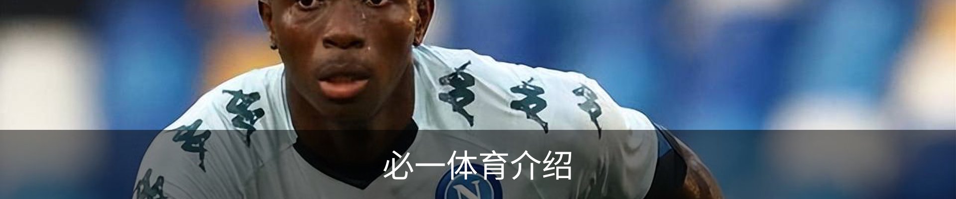 必一体育介绍